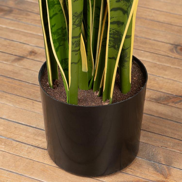 Искусственный куст сансевиерии Sansevieria Bush 80 cm
