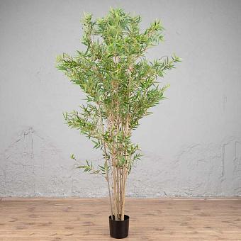 Japanese Oriental Bamboo 180 cm