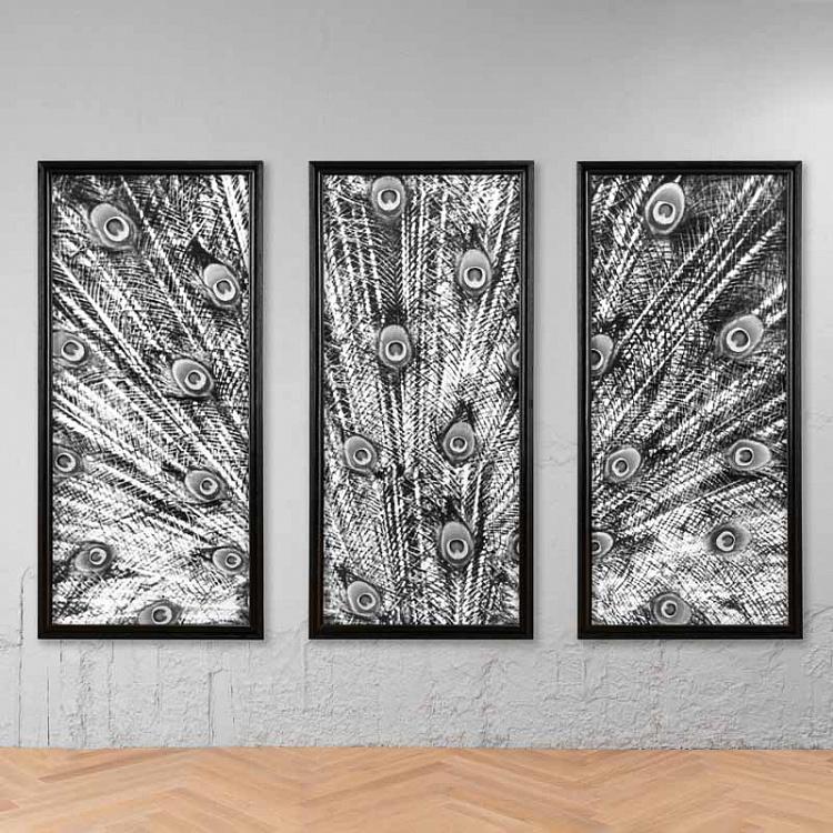 Фото-принт триптих Чёрно-белый хвост павлина Animal Peacock Black White Set Of 3