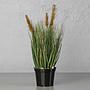 Искусственное растение Sedge Bush With Brown Sultans 60 cm