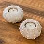 Набор из 2-х подсвечников Set Of 2 Sea Urchin Votive Holder White Pink