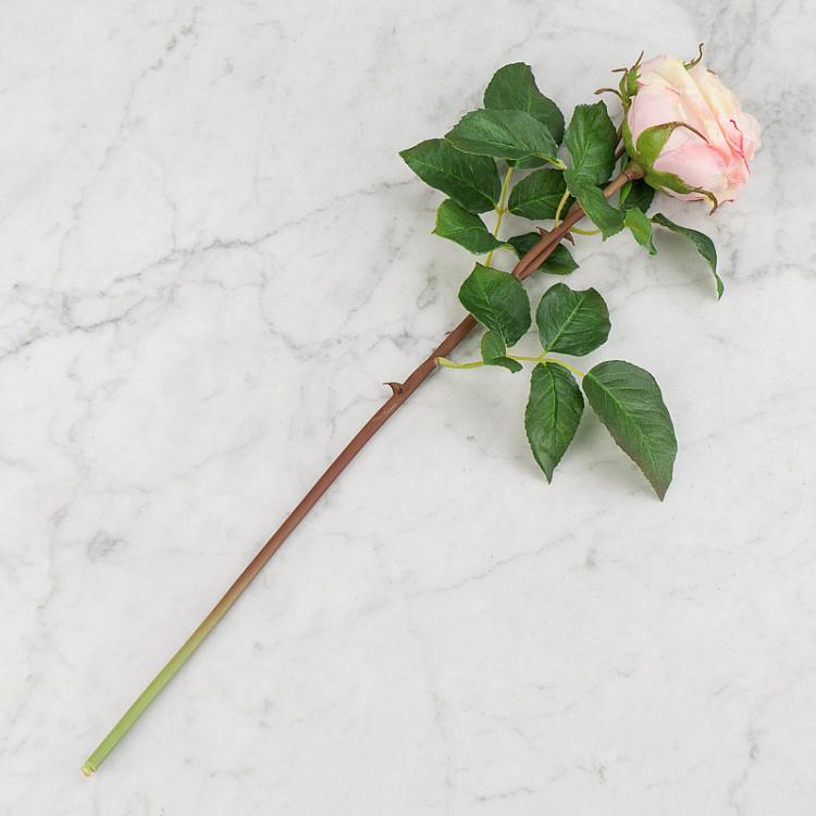 Искусственная роза Дэвид Остин кремово-розовая с лаймовым David Austin Rose Creamy Pink With Lime 50 cm