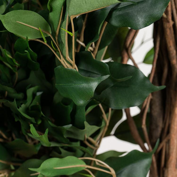 Искусственный фикус Бенджамина Селеста, L Celeste Ficus Benjamina 180 cm