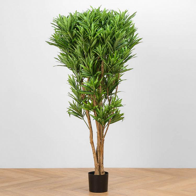 Искусственная ямайская драцена Рефлекса Jamaica Dracaena Reflexa 145 cm