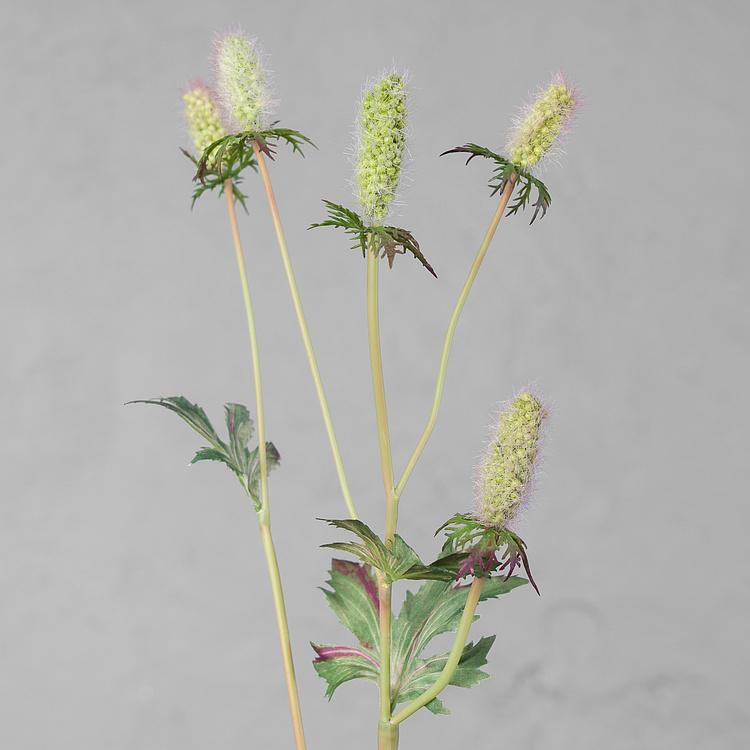 Искусственный светло-зелёный эрингиум Элегант Elegant Eryngium Light Green 52 cm