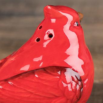 Набор для специй Red Birds Salt And Pepper