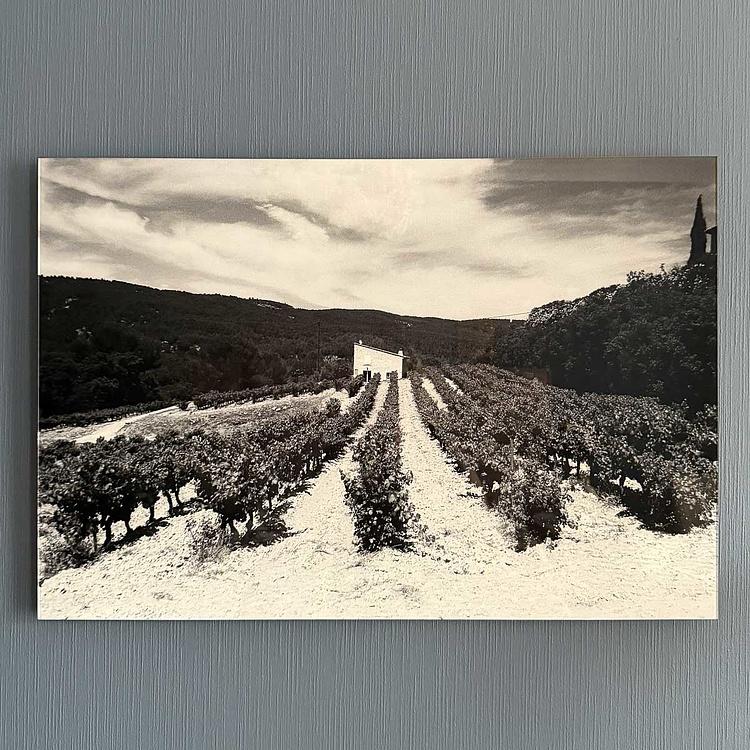 Фотография Гедонизм Hedonism Photo