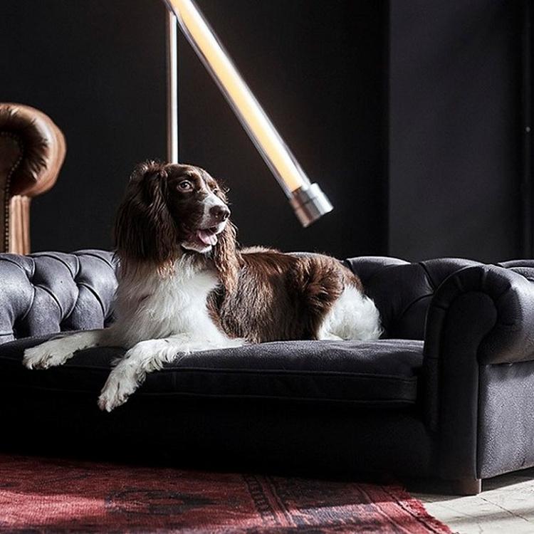 Торшер Флекс Flex Floor Lamp