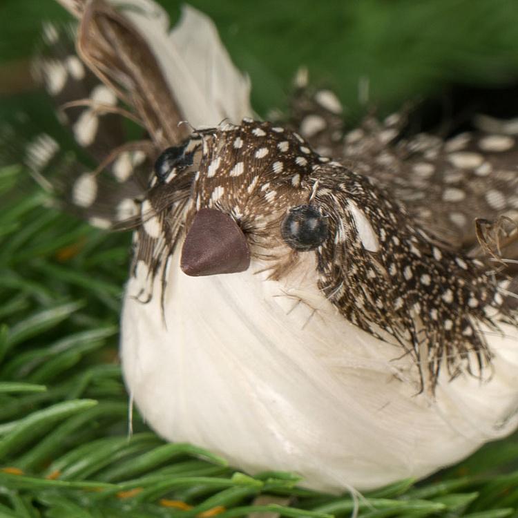 Набор из двух ёлочных игрушек на прищепке Пернатые птицы Set Of 2 Feather Birds On Clip Brown 11 cm