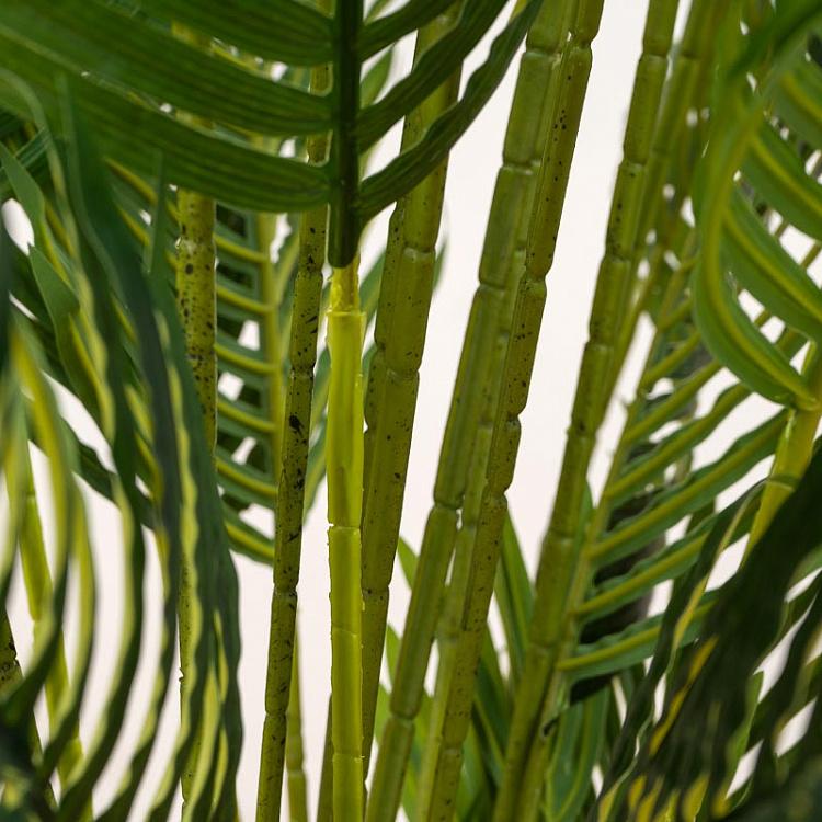 Искусственная пальма Арека Хризалидокарпус, L Areca Chrysalidocarpus Palm 170 cm