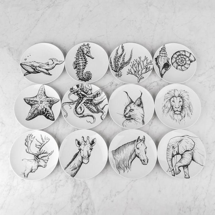 Тарелка Каракал Caracal Plate