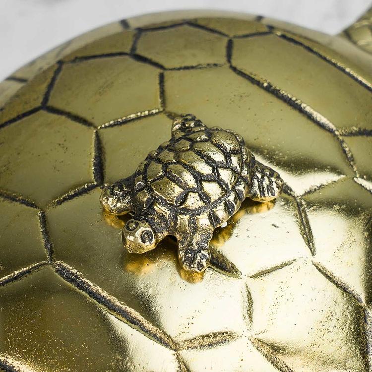 Шкатулка Золотистая мама-черепаха Turtle Box