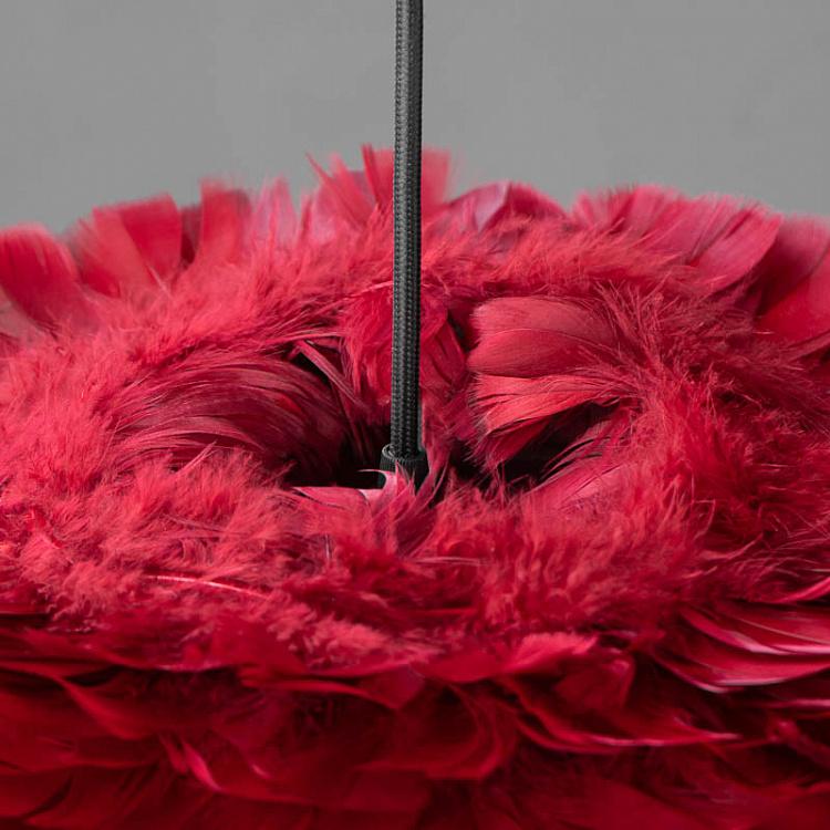 Подвесной светильник Эос на чёрном проводе, красные перья, M Eos Hanging Lamp With Black Cord Medium