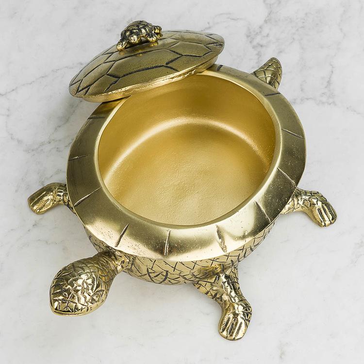 Шкатулка Золотистая мама-черепаха Turtle Box