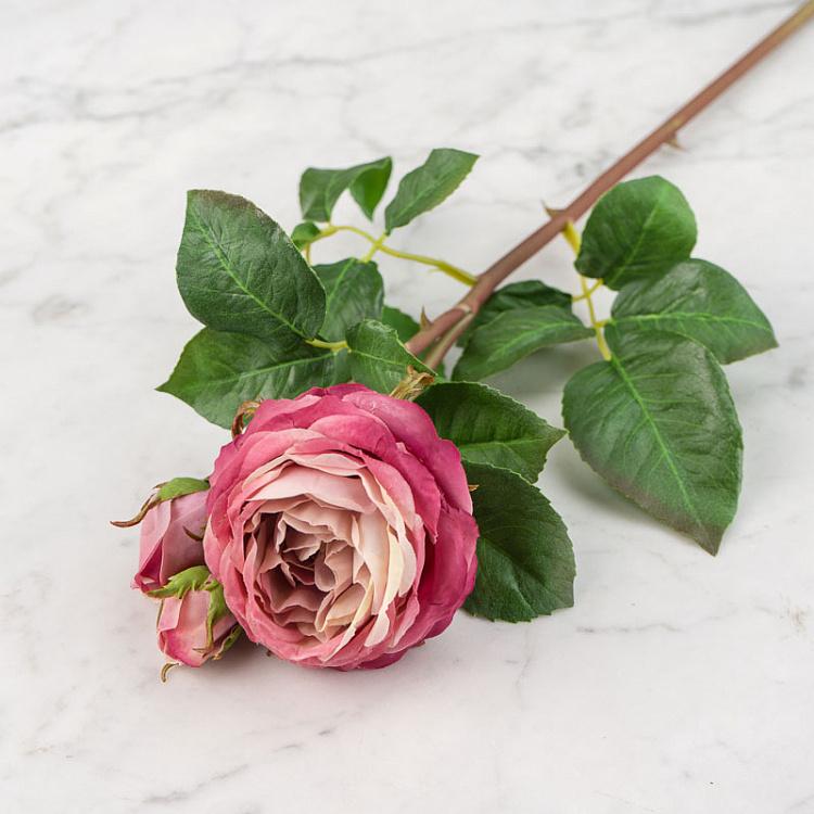 Искусственная роза Дэвид Остин пудрово-розовая David Austin Rose Branch Powder Pink 50 cm