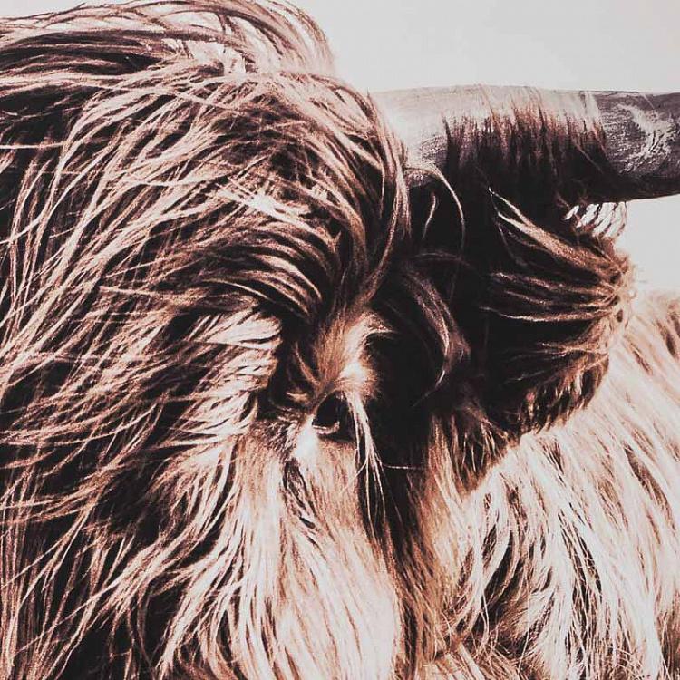 Фото-принт на холсте в раме Як Canvas Picture With Brown Frame Highland