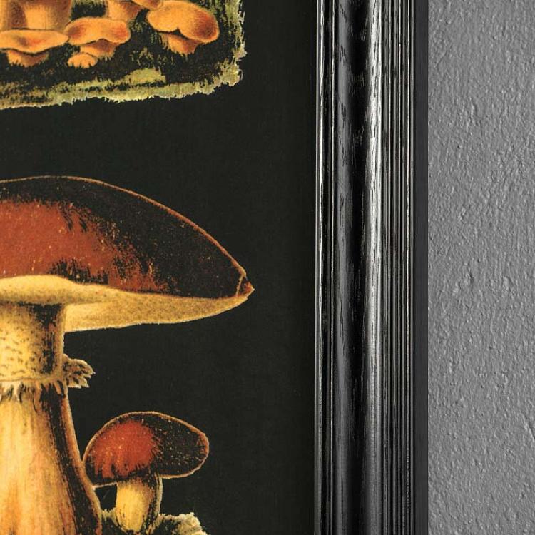 Картина-принт Грибы Mushrooms