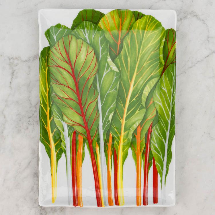 Прямоугольная сервировочная тарелка Средиземноморская диета Травы Dieta Mediterranea Erbette Rectangle Serving Plate