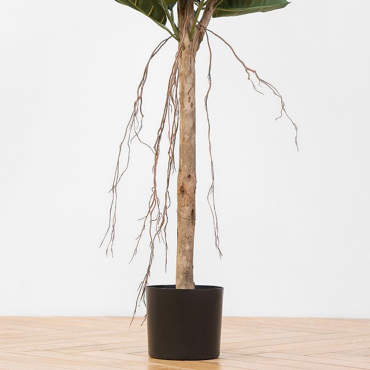Искусственный фикус Эластика, L Elastica Ficus Tree 180 cm