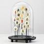 Статуэтка Glass Dome With Colored Insects
