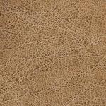 натуральная кожа Pampas Nutmeg