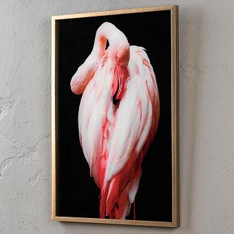 Picture With Golden Frame Flamingo