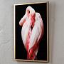 Фото-принт Picture With Golden Frame Flamingo
