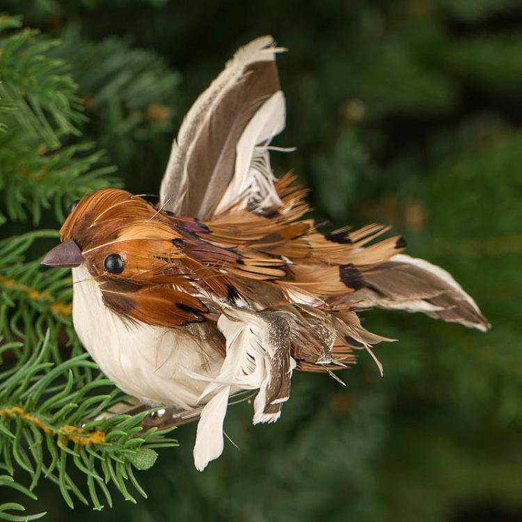 Набор из двух ёлочных игрушек на прищепке Пернатые птицы Set Of 2 Feather Birds On Clip Brown 11 cm