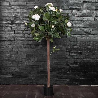 Rose Ball Tree White 120 cm