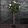 Искусственное дерево Rose Ball Tree White 120 cm