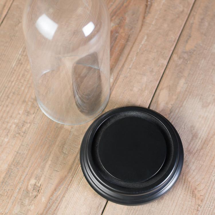 Стеклянный клош с основанием 3 Globe 3 And Socle D13 cm