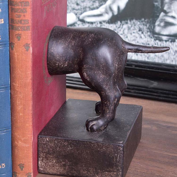 Набор из двух держателей для книг Гончая Book Ends Beagle