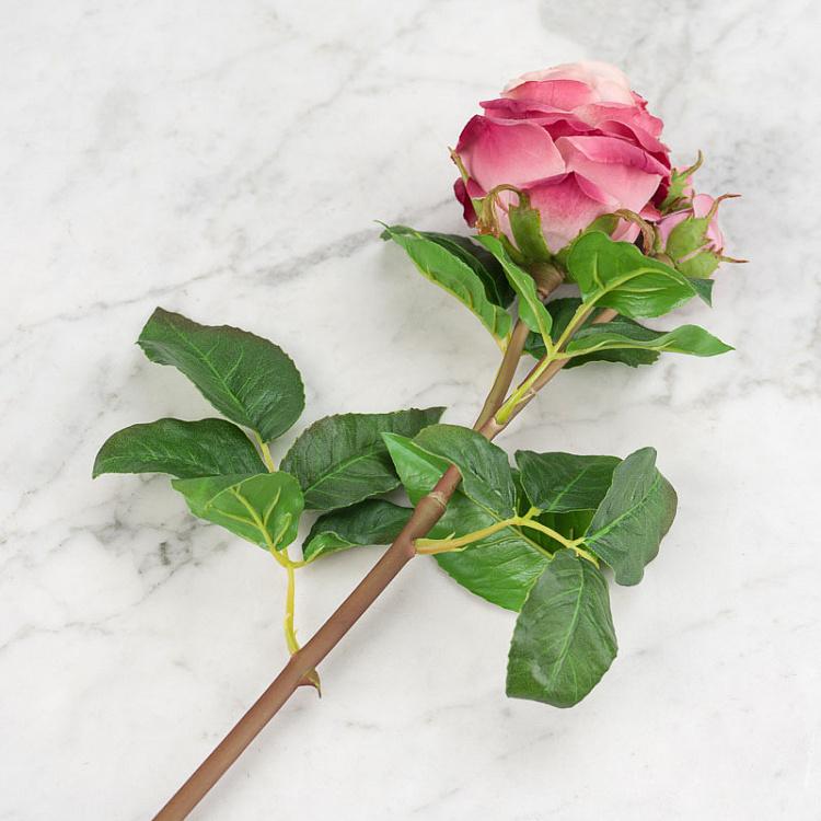 Искусственная роза Дэвид Остин пудрово-розовая David Austin Rose Branch Powder Pink 50 cm