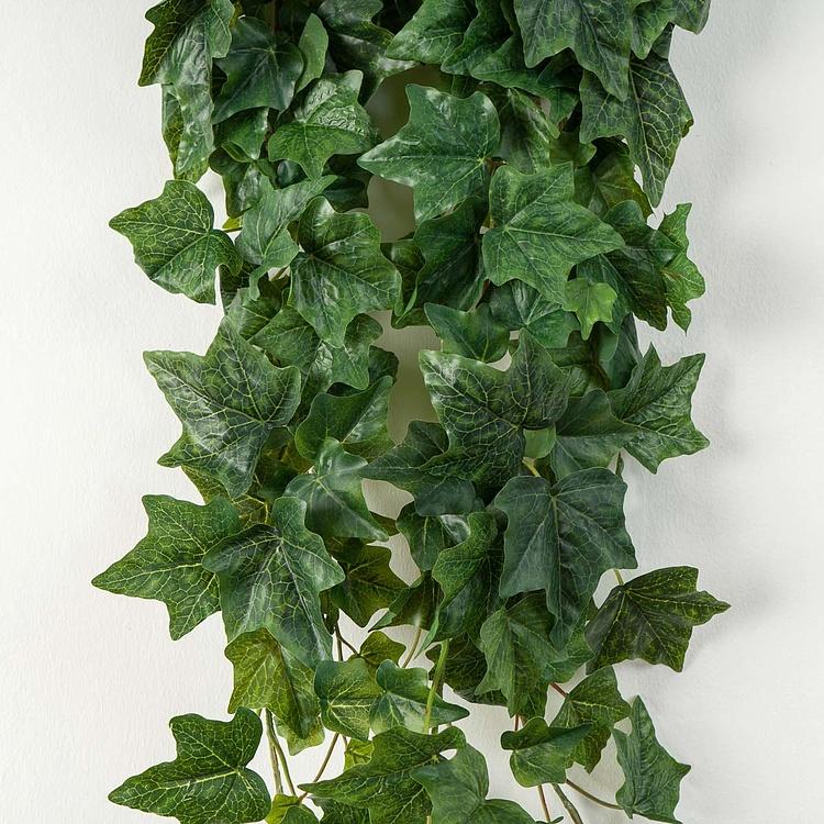 Искусственный английский крупнолистный плющ Биг Олд Темпл зелёный, L Big Old Temple Large Leaved Green English Ivy 170 cm