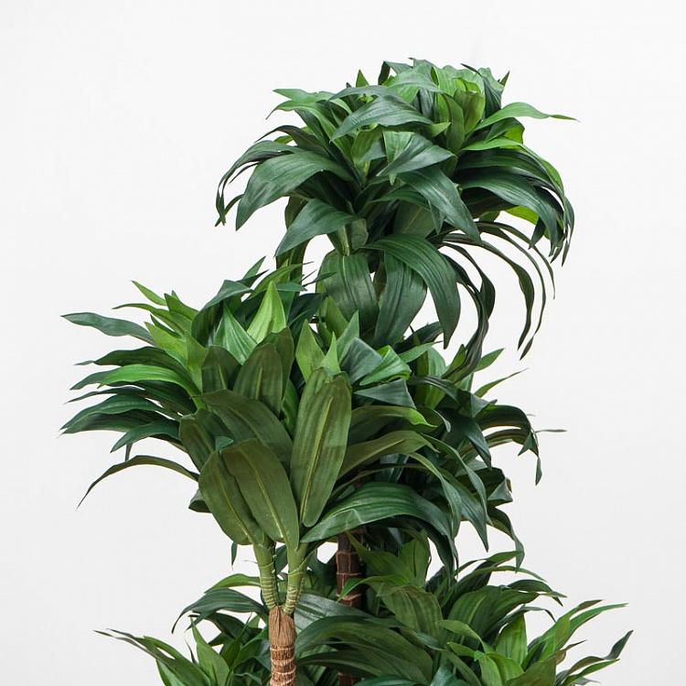 Искусственная драцена Компакта Dracaena Compacta 120 cm