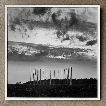 Palladian Scheme 2 Photo