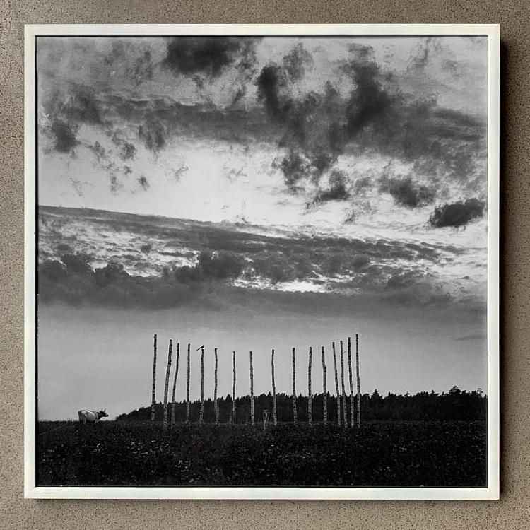 Фотография в рамке Палладианская схема 2 Palladian Scheme 2 Photo