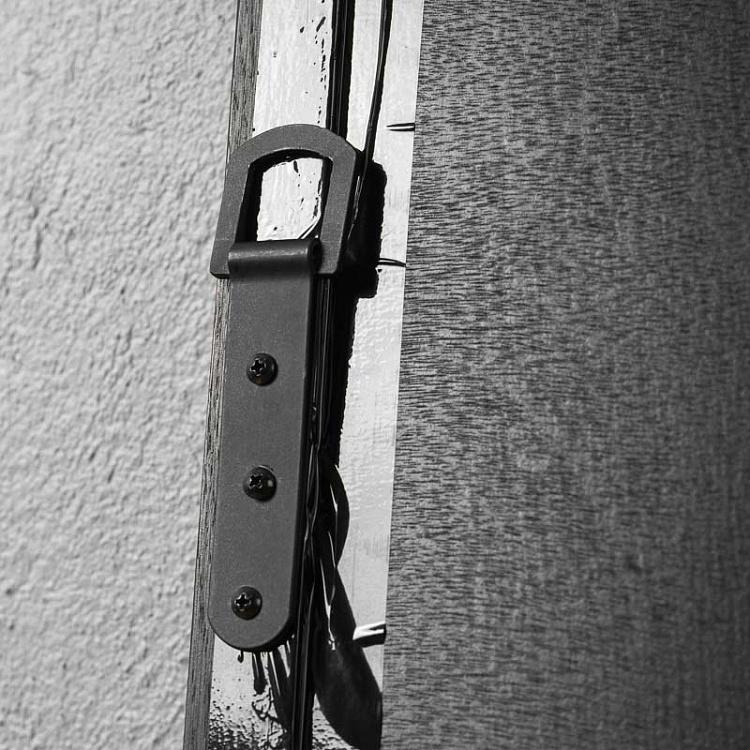 Картина-принт Грибы Mushrooms