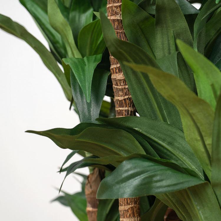 Искусственная драцена Компакта Dracaena Compacta 120 cm