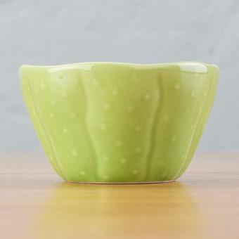 Pachy Bowl Small Light Green