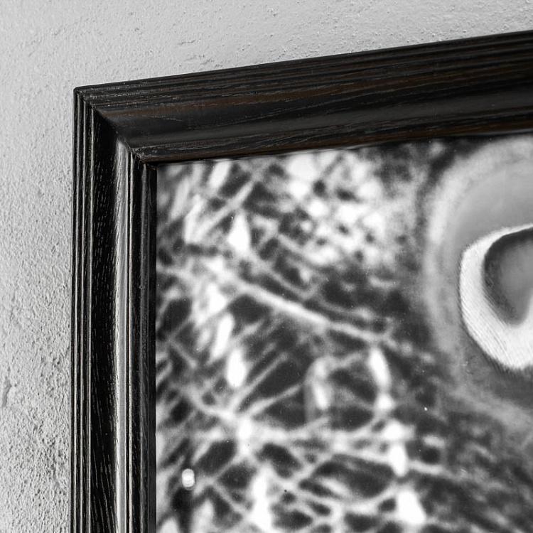 Фото-принт триптих Чёрно-белый хвост павлина Animal Peacock Black White Set Of 3