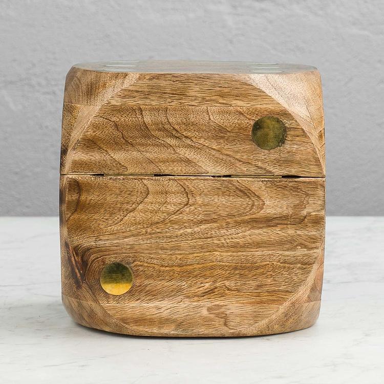 Пять игральных костей в большой шкатулке с латунью Large Dice Box With 5 Dices