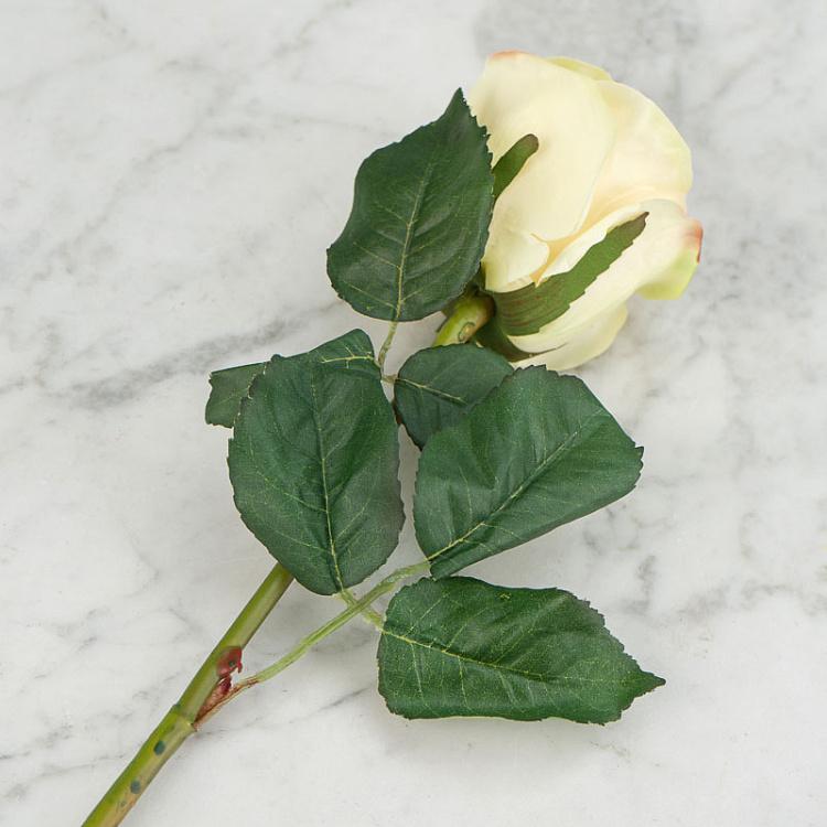 Искусственная роза Джулия бледно-персиковая с жёлтым Julia Rose Pale Peach With Yellow 53 cm