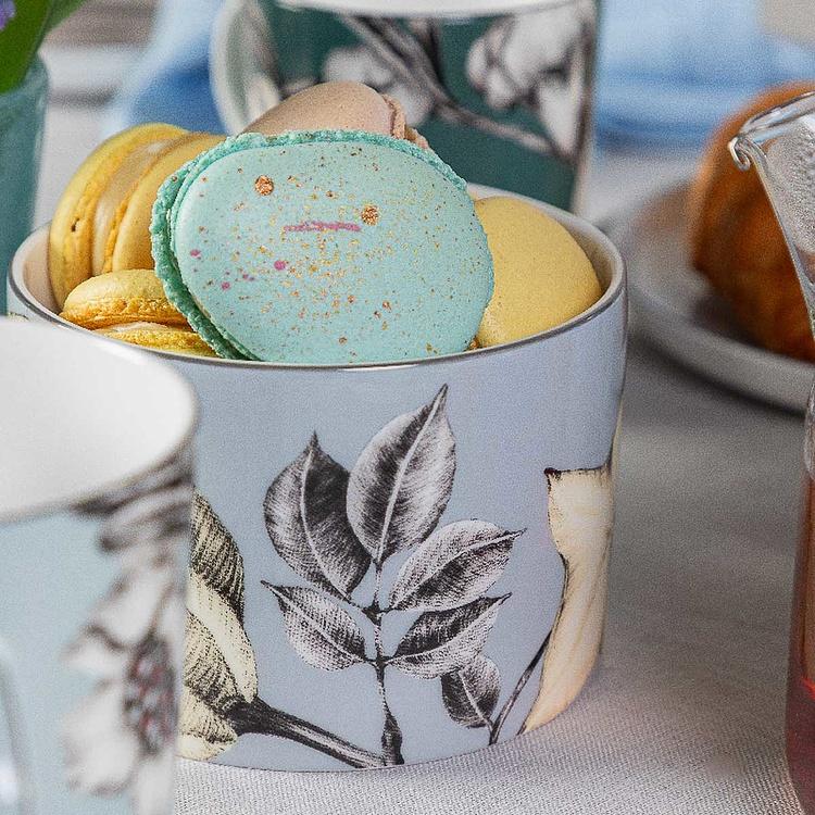 Голубая ёмкость для хранения с карамболой Экзо Exo Box Carambola Blue