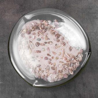 Glass Tray With Sand And Shells