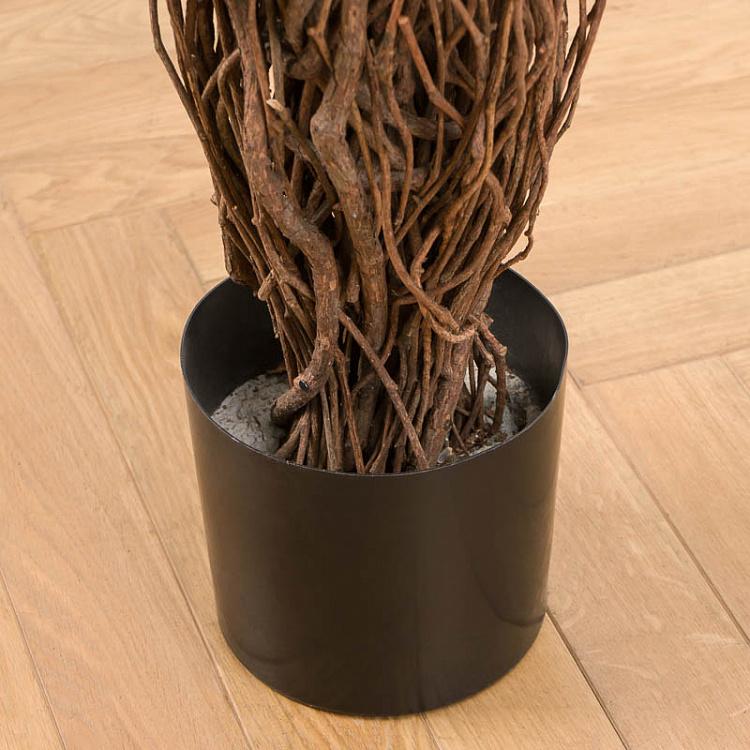 Искусственный фикус Лиана Де люкс, L De Luxe Ficus Liana 180 cm