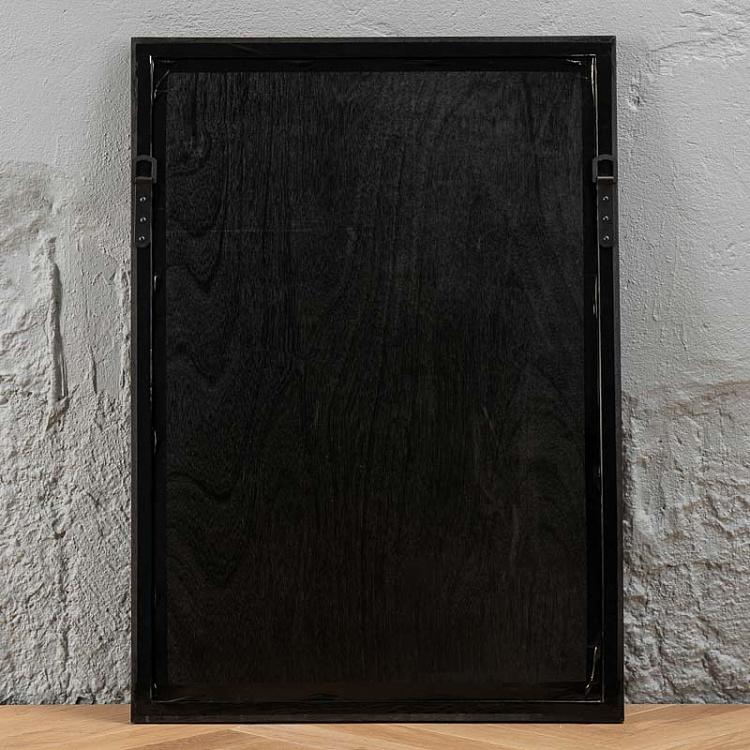 Картина-принт Яйца Animals Eggs