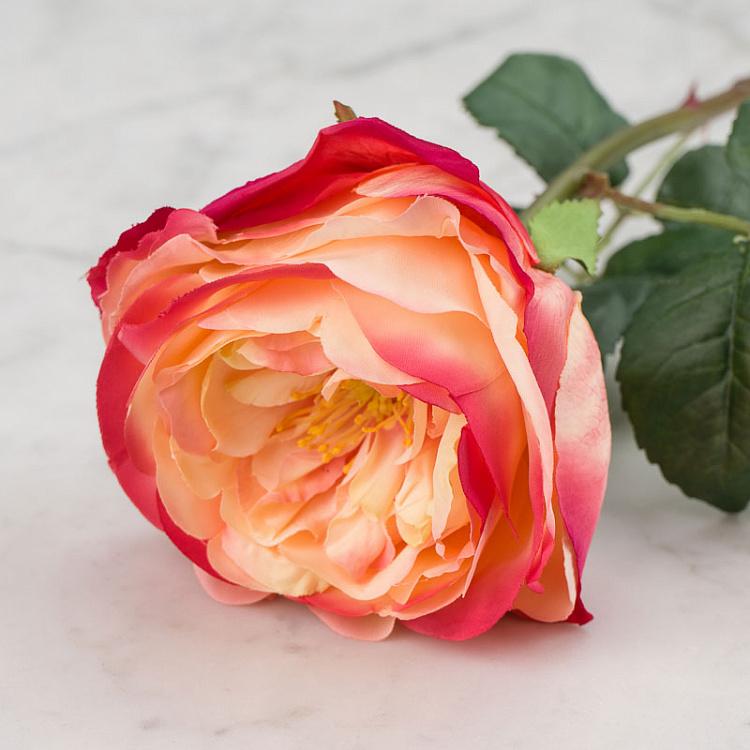 Искусственная роза Джема персиково-малиновая Gemma Rose Pale Peach With Crimson 56 cm