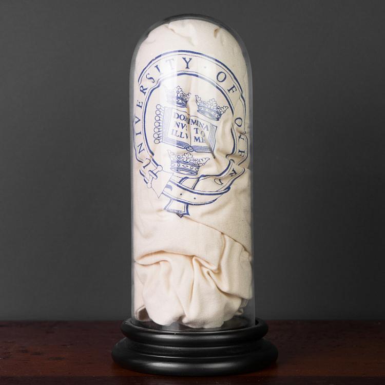 Стеклянный клош с основанием 3 Globe 3 And Socle D13 cm