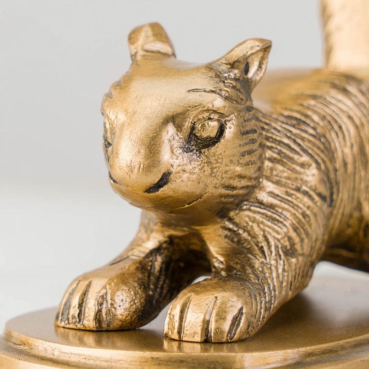 Набор из двух держателей для книг Золотистые белки Bookend Golden Squirrels